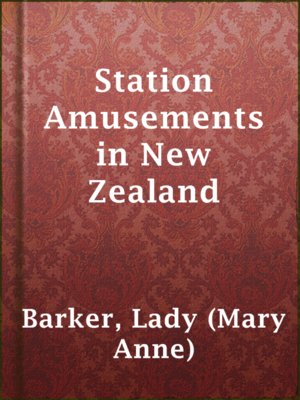 cover image of Station Amusements in New Zealand